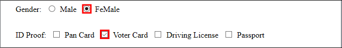 checked pseudo class example